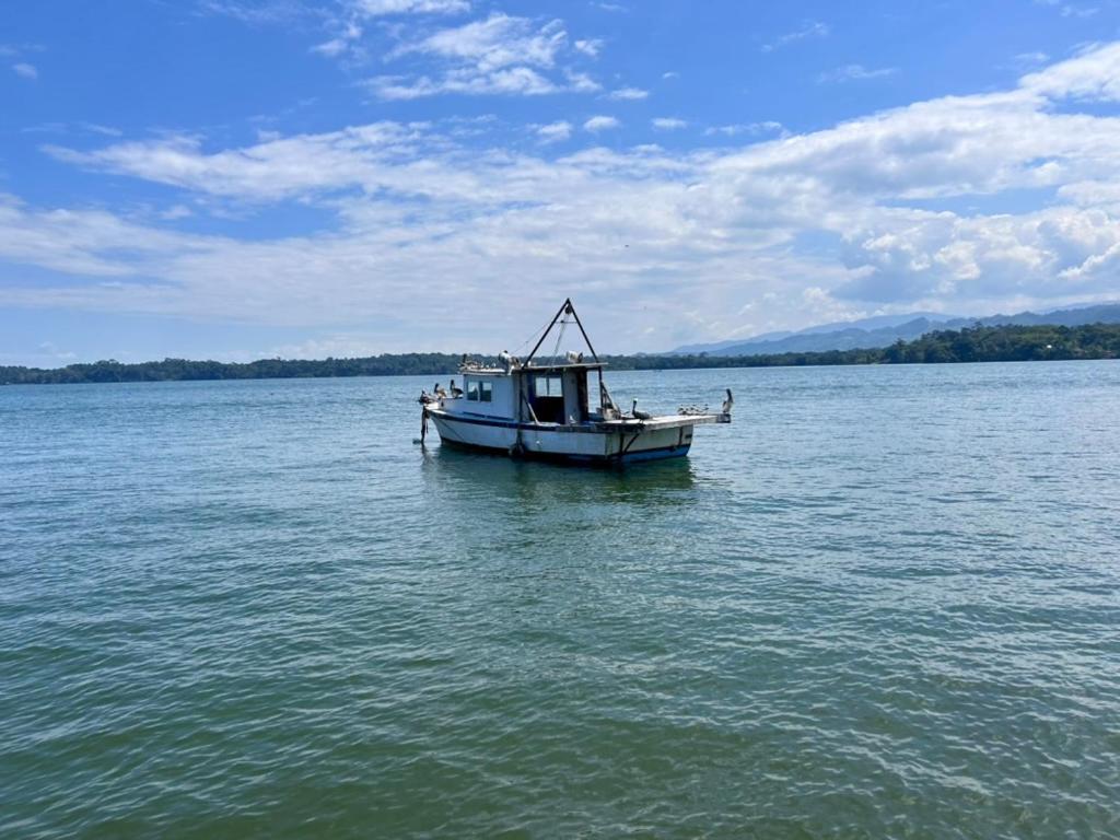 海豚酒店 Lívingston 外观 照片